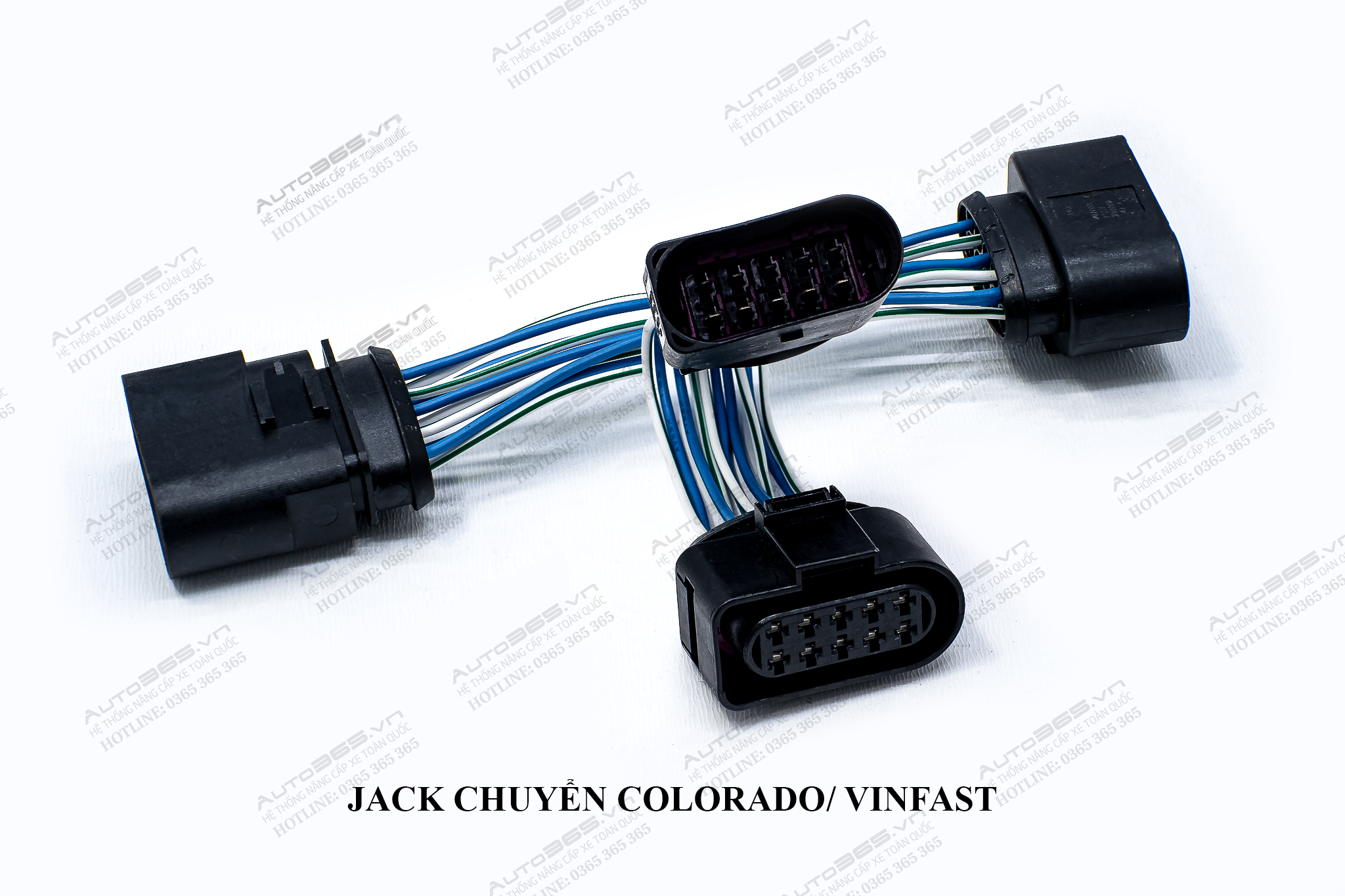 JACK COLORADO - VINFAST